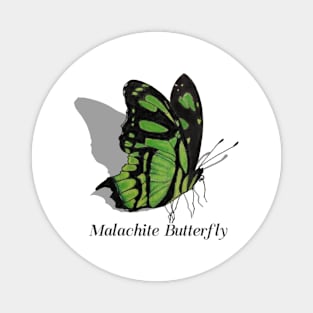 Malachite Butterfly Labeled Magnet